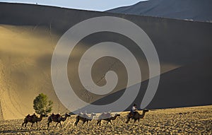 Caravans in desert photo